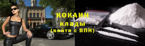 стаф Калининец