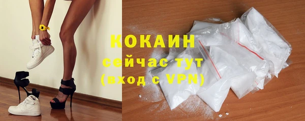 стаф Калининец