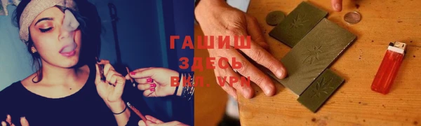 стаф Калининец