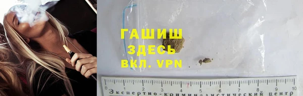 стаф Калининец
