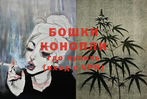 стаф Калининец