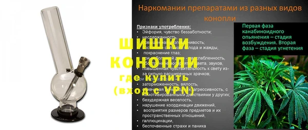 стаф Калининец