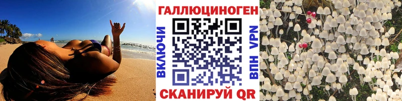 наркота Димитровград маркетплейс наркотические препараты Галлюциногенные грибы прущие грибы MEGA маркетплейс