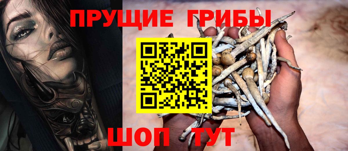 Димитровград  Псилоцибиновые грибы Psilocybine cubensis  Псилоцибиновые грибы MAGIC MUSHROOMS  Вход с VPN 