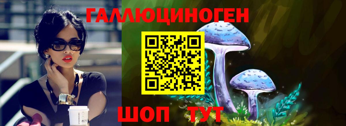 Галлюциногенные грибы прущие грибы  Димитровград 